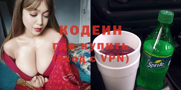 спиды Арсеньев