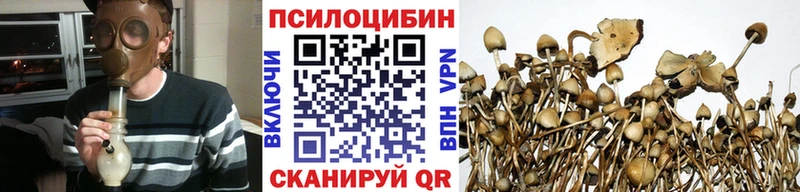Галлюциногенные грибы Psilocybine cubensis купить наркотик Пугачёв
