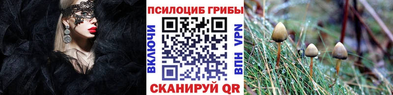 Галлюциногенные грибы Psilocybe Пугачёв