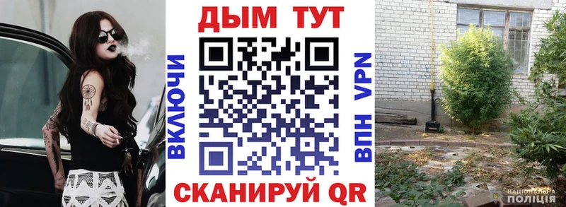 Шишки марихуана White Widow  Пугачёв 